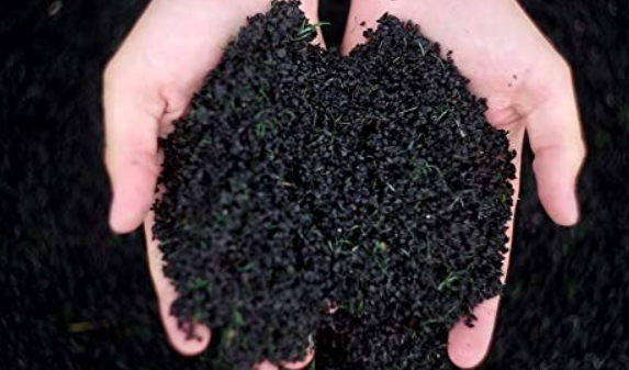 Black Soil