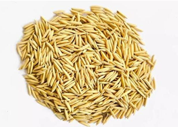 Seeds