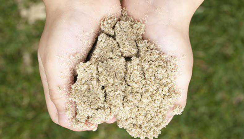 Sandy Soil